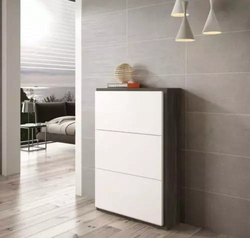 Zapatero mueble auxiliar Sgarpa Valencia